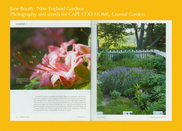 You can find Julia Mitchells tapestries on the web, www.juliamitchelltapestry.com