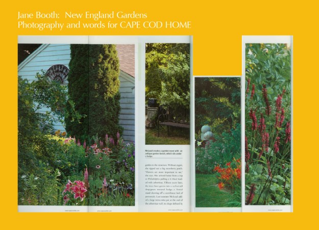 With a few strong structural elements -- boxwood, arborvitae, and gravel -- McLoud has provided bones for her gardens to rest on and against.