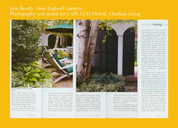 At one end of their courtyard,  white paper birch rises from a base of gray-green hostas, ferns, and euonymus.<br /><br />
