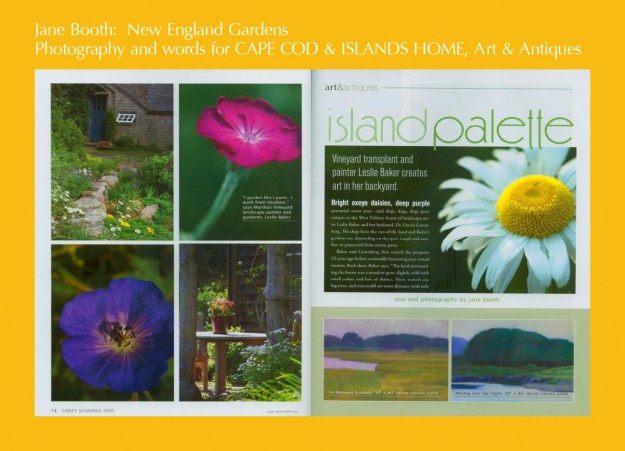 Oxeye daisies, perennial sweet peas, and dogs dogs dogs greet me when I arrive at the West Tisbury home of artist, Leslie Baker and her husband, Dr. David Gorenberg. 