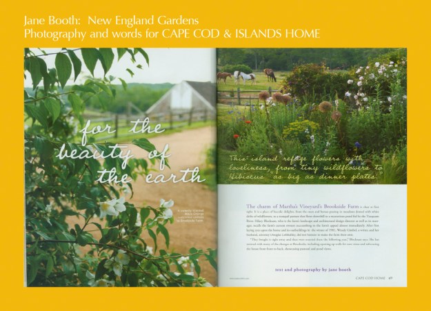 Brookside Farm is a place one can easily fall in love with.  I had been warned of its bucolic charms -- a pair of Red Devon oxen and a handful of horses grazing in meadows dotted with white drifts of wildflowers, a pasture flowing downhill to a dark mysterious pond fed by the Tiasquam River, and a beautiful house and outbuildings graceful with history. 