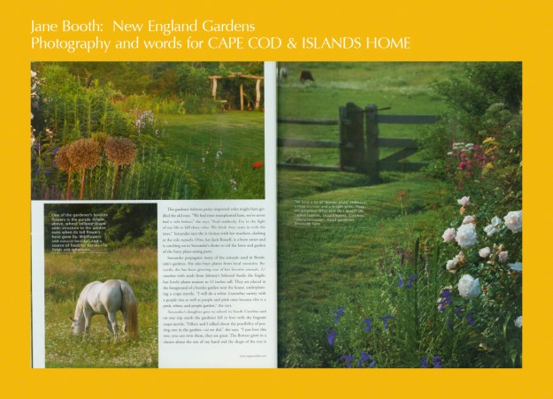 Maria propagates many of the annuals used in Brookside’s gardens.  Sometimes she buys from local nurseries and recently she has been bringing in one of her favorite annuals, lisianthus, from Johnny’s Selected Seeds.  