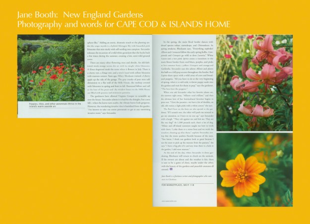 When you ask Maria what her favorite plants are she answers right away, “allium” and pauses “trillium” and then she gushes, “I love the paeonias, we have a lot of doubles, an old, old variety, a light pink with a white center.  We have a lot of “dinner plate” hibiscus, a deep maroon and a bright pink.  They are gorgeous.  What else do I love?” She laughs, “Oh, I love everything.  I adore lupines, snapdragons, cosmos.”