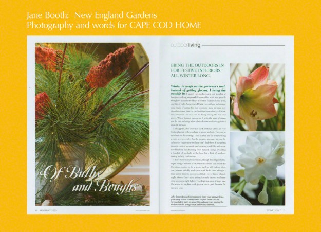 Winter is rough on the gardener's soul.  Instead of getting gloomy, I bring the outside in.