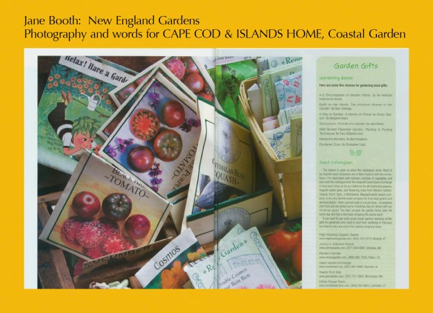In the early winter I look forward to the arrival of seed and plant catalogues that I keep for reference and to drive a gardener crazy with want. 