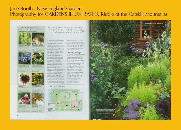 Dean Riddle creates  extraordinary plant combinations.