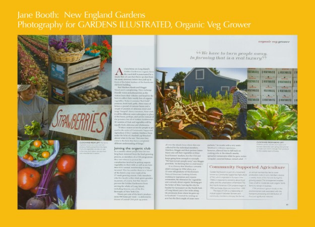 Maggie Wood, Matthew Kurek, and James Russo were a treat to work with and made sure I had access to all parts of the farm -- from riding out to the fields with an incredibly cheerful, hardworking Mexican family to watching the careful processing and packing of the CSA shares.