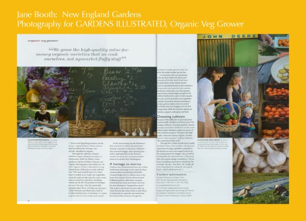 Maggie Wood and I put together a lunch of Golden Earthworm's fingerling potatoes roasted in garlic and olive oil and a colorful salad of just picked tomatoes with a sprinkling of fresh picked herbs.