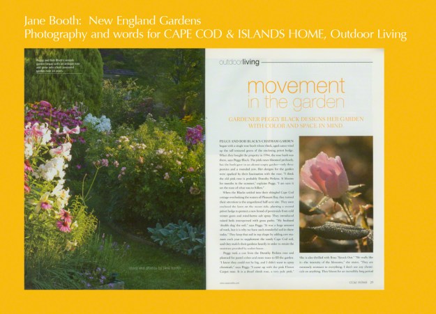 Peggy and Bob Black's Chatham garden began with a single rose bush whose thick, aged canes wind up the tall textured green of an enclosing privet hedge. The pink roses bloomed profusely, but the bush grew in an almost empty garden.  "I think the old pink rose is probably Dorothy Perkins," says Peggy.  "I am sure it set the tone of what was to follow."