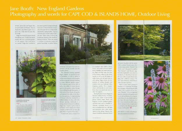 Finding all-day sun where the old rose resides, the homeowners enclosed the lawn on the ocean side planting a secondary hedge of privet to protect a new brood of perennials from cold winter gusts and wind-born salt spray.