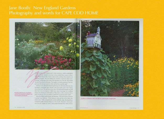 Satucket’s cutting bed  is exuberantly wild with cosmos, sunflowers, cleome, and zinnias all vying for attention.  Anita has nurtured these plants from seed, starting them under lights in her basement the last months of winter.  “During February I go nuts and have to mail order seeds.  I really like Johnny’s Selected Seeds, their flowers seem stronger, healthier than any other supplier I have tried.” 