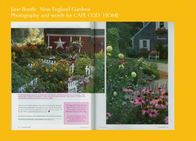 A stand of sunflowers painted on the barn door was a Mothers’ Day gift.  “The kids asked me what I wanted for Mothers’ Day and that’s what I wanted.  I didn’t need fresh flowers, I didn’t need food.”  Although her kids are absent, she now has their constant presence in the form of sunny flowers on the door.<br /><br /><br /><br />
