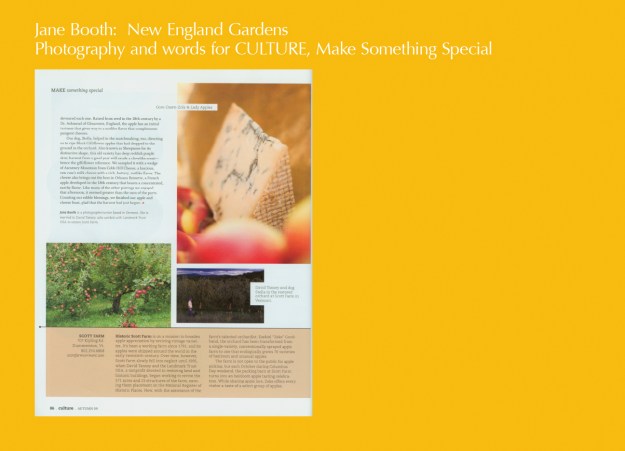 Poverty Lane Orchards and Alyson's Orchard in New Hampshire and Champlain Orchards  in Vermont offer a good selection of heirloom apples.