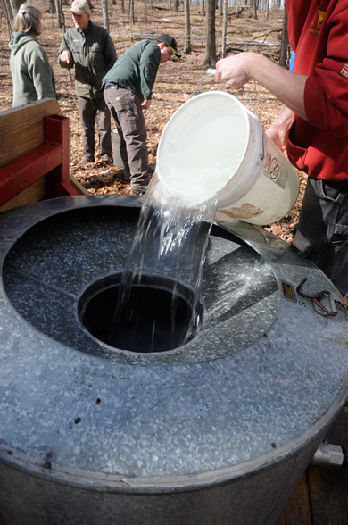 Volunteers, family, and friends empty sap collected from buckets into a storage tank
